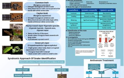 Management of Snake Bite Envenoming
