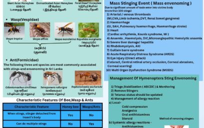 Management of Hymenoptera Sting Envenoming