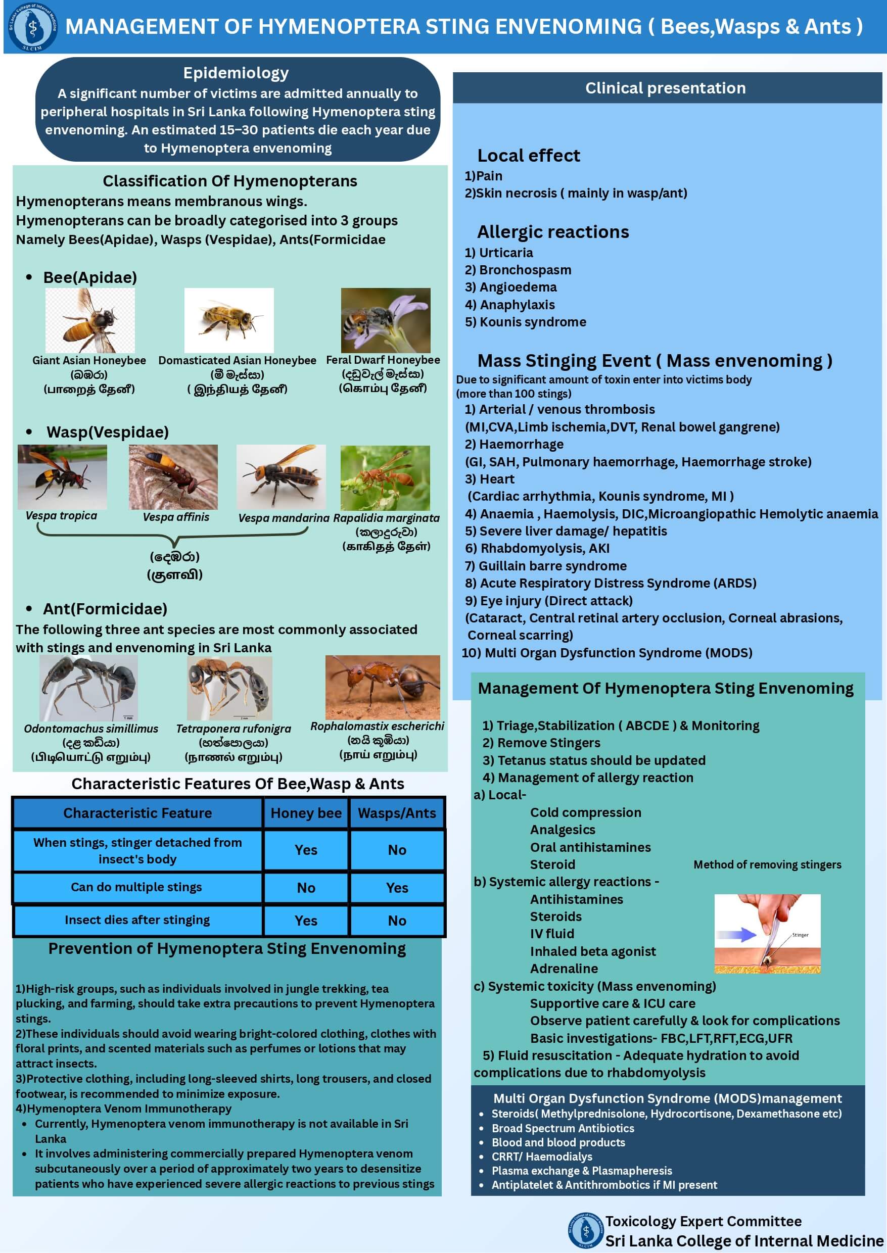 Management of Hymenoptera Sting Envenoming