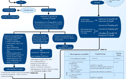 Meningitis Protocol